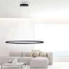 Paul Neuhaus TITUS Pendant Light LED anthracite, 1-light source