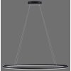 Paul Neuhaus TITUS Pendant Light LED anthracite, 1-light source