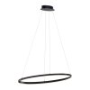 Paul Neuhaus TITUS Pendant Light LED anthracite, 1-light source