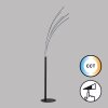 Fischer & Honsel Ellmau Floor Lamp LED black, 1-light source