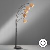 Fischer & Honsel Hyazinthe Floor Lamp black, 5-light sources