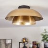 Albo Ceiling Light black, 1-light source