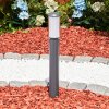 Gondoyer path light anthracite, 1-light source