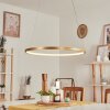 Calcium Pendant Light LED brass, 1-light source