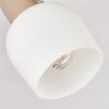 Sivol Ceiling Light matt nickel, sand-coloured, 3-light sources