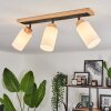Represita Ceiling Light black, 3-light sources