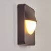 Primera Outdoor Wall Light black, 1-light source