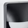 Primera Outdoor Wall Light black, 1-light source