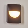 Primera Outdoor Wall Light black, 1-light source