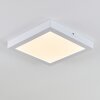 Leto outdoor ceiling light LED white, 1-light source
