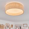 Wynona Ceiling Light LED white, 1-light source