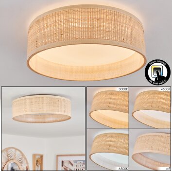 Wynona Ceiling Light LED white, 1-light source