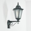 Hongkong Outdoor Wall Light green, black, 1-light source, Motion sensor