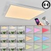 Crum Ceiling Light LED white, 1-light source, Remote control