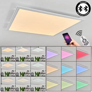 Crum Ceiling Light LED white, 1-light source, Remote control