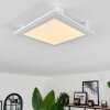 Crum Ceiling Light LED white, 1-light source, Remote control