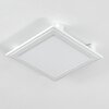 Crum Ceiling Light LED white, 1-light source, Remote control
