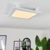 Crum Ceiling Light LED white, 1-light source, Remote control