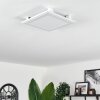 Crum Ceiling Light LED white, 1-light source, Remote control