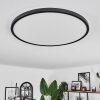 Hooper Ceiling Light LED black, 1-light source