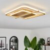 Evolene Ceiling Light LED gold, 1-light source