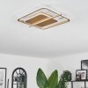Evolene Ceiling Light LED gold, 1-light source