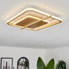 Evolene Ceiling Light LED gold, 1-light source