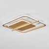 Evolene Ceiling Light LED gold, 1-light source