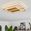 Evolene Ceiling Light LED gold, 1-light source