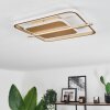 Evolene Ceiling Light LED gold, 1-light source