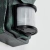 Hongkong Outdoor Wall Light green, black, 1-light source, Motion sensor