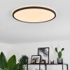 Hooper Ceiling Light LED black, 1-light source