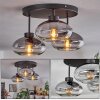 Haikala Ceiling Light clear, Smoke-coloured, 3-light sources