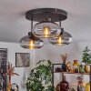 Haikala Ceiling Light clear, Smoke-coloured, 3-light sources
