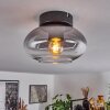 Haikala Ceiling Light clear, Smoke-coloured, 1-light source
