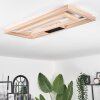Surisultana Ceiling Light LED Light wood, 2-light sources
