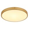 Globo TIBEY Ceiling Light LED brass, 1-light source