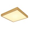 Globo TIBEY Ceiling Light LED brass, 1-light source