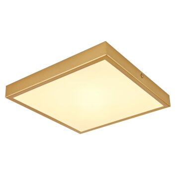 Globo TIBEY Ceiling Light LED brass, 1-light source