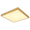 Globo TIBEY Ceiling Light LED brass, 1-light source