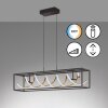 Fischer & Honsel Gian Pendant Light LED black, 1-light source, Remote control