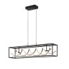 Fischer & Honsel Gian Pendant Light LED black, 1-light source, Remote control