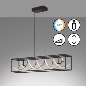 Fischer & Honsel Gian Pendant Light LED black, 1-light source, Remote control