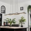 Fuliola Pendant Light LED black, 1-light source
