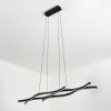 Fuliola Pendant Light LED black, 1-light source