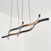 Fuliola Pendant Light LED black, 1-light source