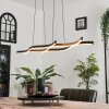 Fuliola Pendant Light LED black, 1-light source