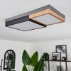 Bornos Ceiling Light LED anthracite, 1-light source