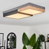 Bornos Ceiling Light LED anthracite, 1-light source