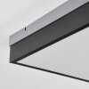 Bornos Ceiling Light LED anthracite, 1-light source